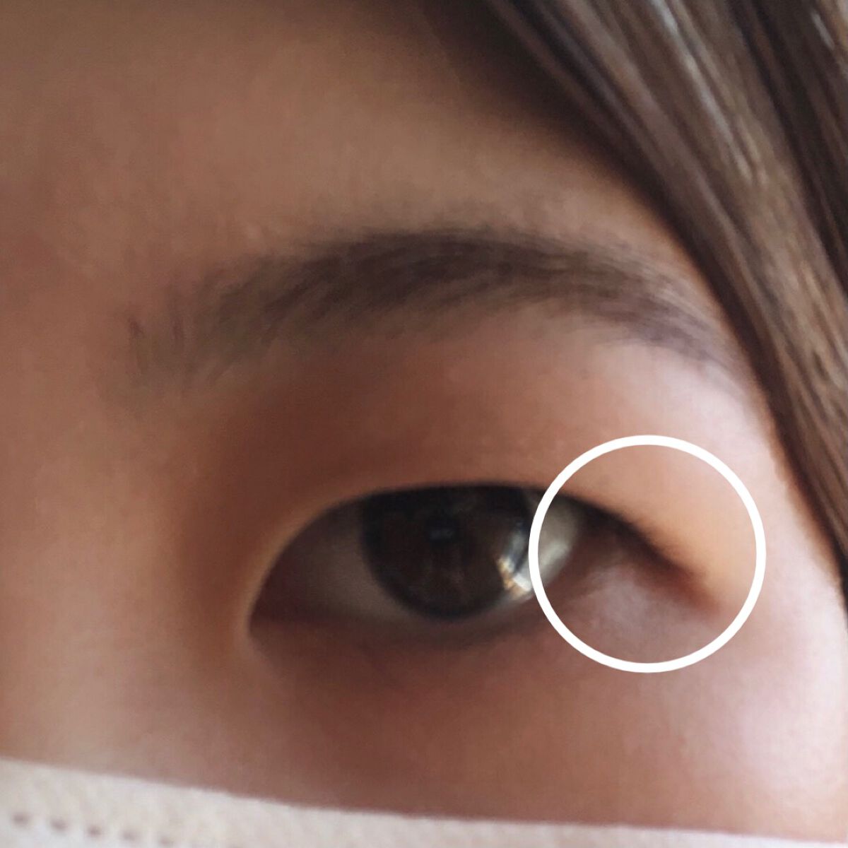 ミッシュブルーミン コラボアイラッシュ/DAISO/つけまつげを使ったクチコミ（2枚目）