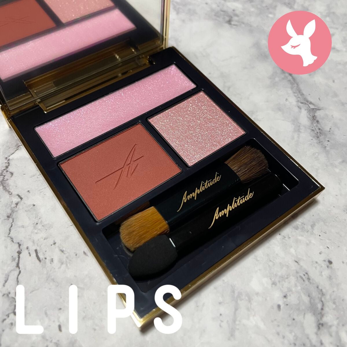 コンスピキュアス アイズ/Amplitude/アイシャドウパレットを使ったクチコミ(1枚目)