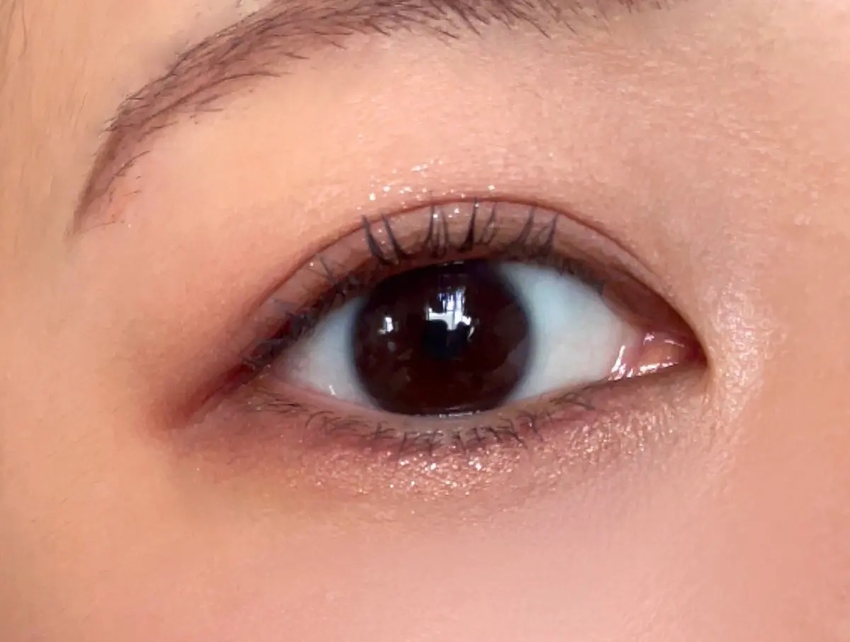 エクスプローラ12色 動物アイシャドウパレット/PERFECT DIARY/アイシャドウパレットを使ったクチコミ（3枚目）