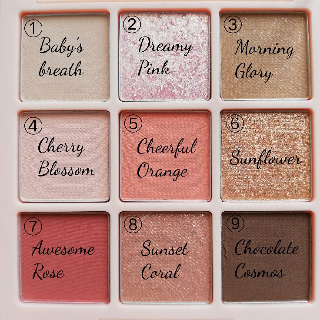 ワンピックアイシャドウパレット/APLIN/アイシャドウパレットを使ったクチコミ(3枚目)