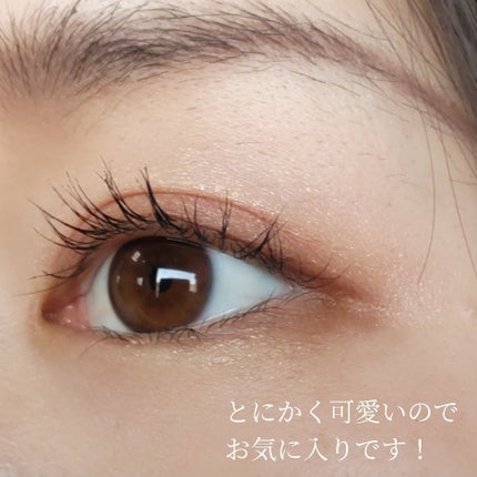 スキニーリッチシャドウ/excel/アイシャドウパレットを使ったクチコミ(5枚目)