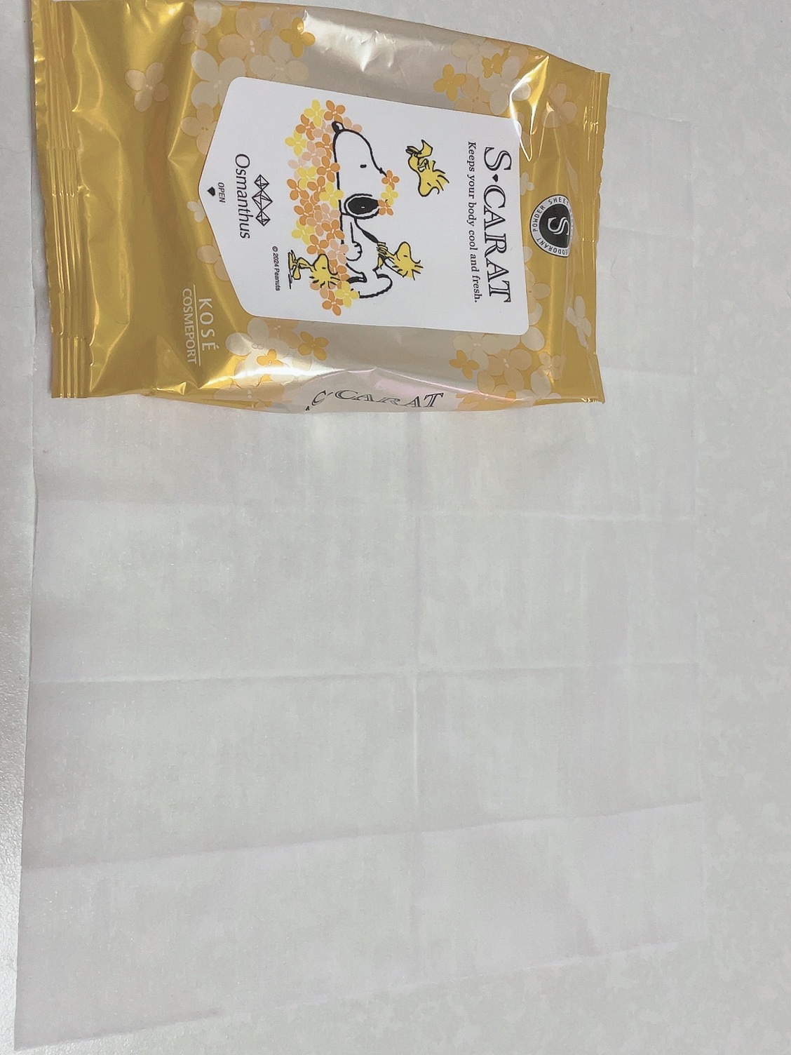 エスカラット 薬用デオドラント 大判クールシート/コーセーコスメポート/ボディシートを使ったクチコミ（1枚目）