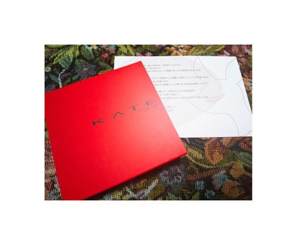 レッドヌードルージュ/KATE/口紅を使ったクチコミ(1枚目)