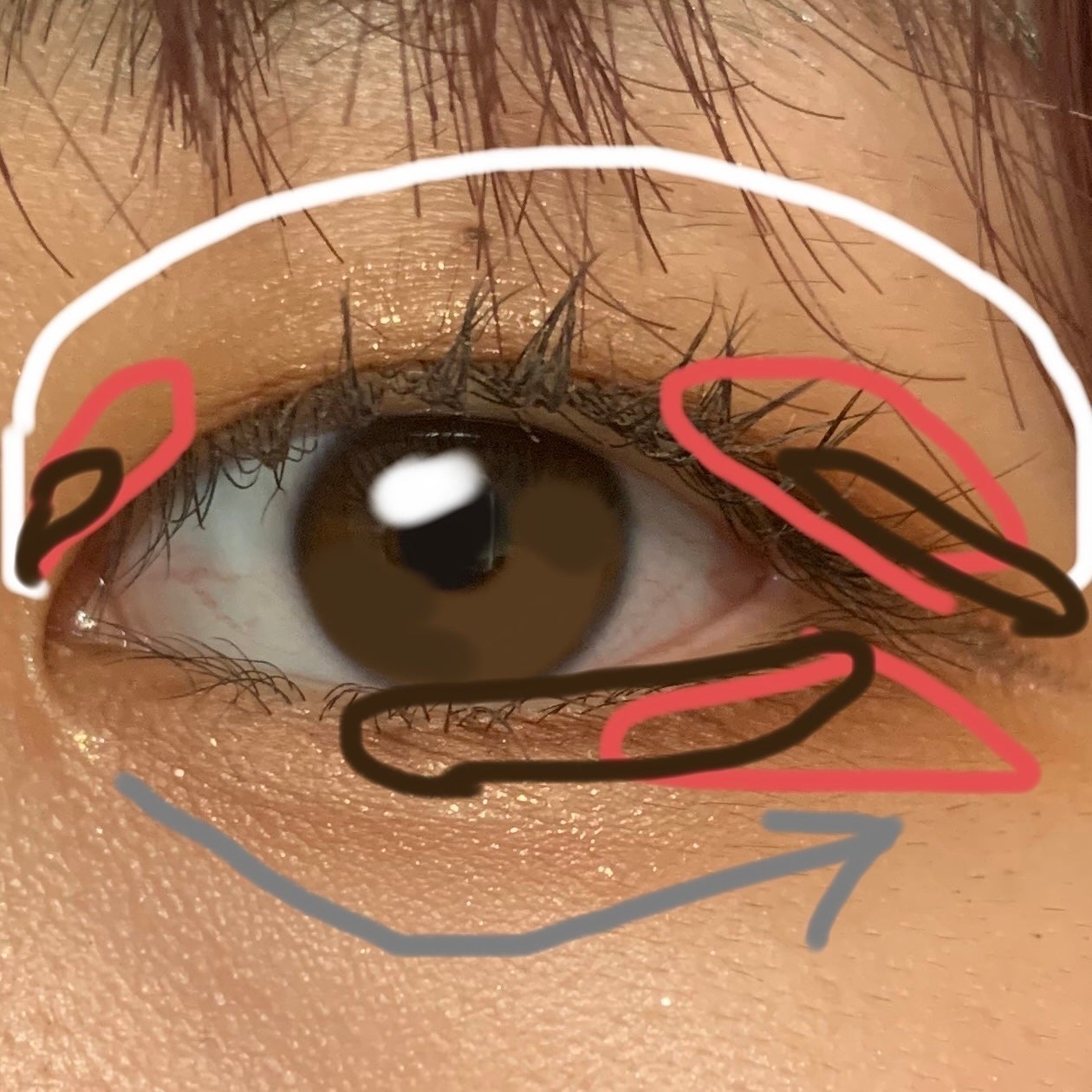 パールグロウハイライト/CEZANNE/パウダーハイライトを使ったクチコミ(4枚目)