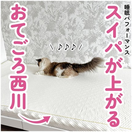 睡眠Labo	 Dots ヘルシーマットレス〈1層〉(丸巻きタイプ)/nishikawa/その他を使ったクチコミ(1枚目)