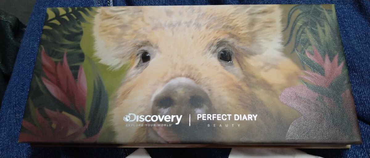 エクスプローラ12色 動物アイシャドウパレット/PERFECT DIARY/アイシャドウパレットを使ったクチコミ（1枚目）