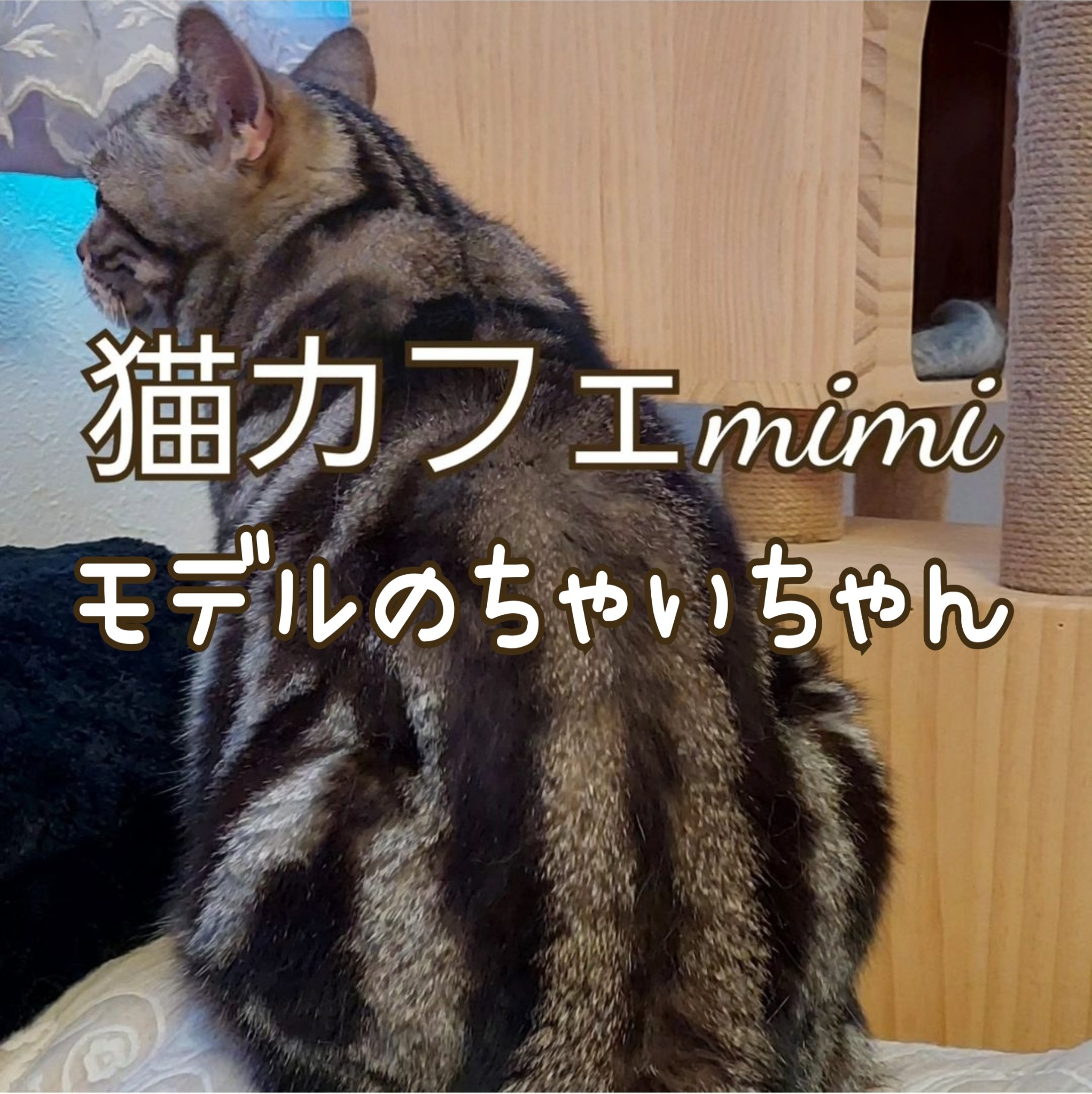 痛ライナー 黒/ネイル工房/ジェルネイルを使ったクチコミ（2枚目）