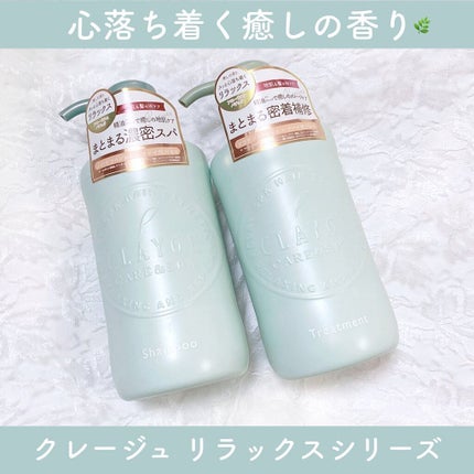 シャンプー/トリートメントR /CLAYGE/シャンプー・コンディショナーを使ったクチコミ(1枚目)