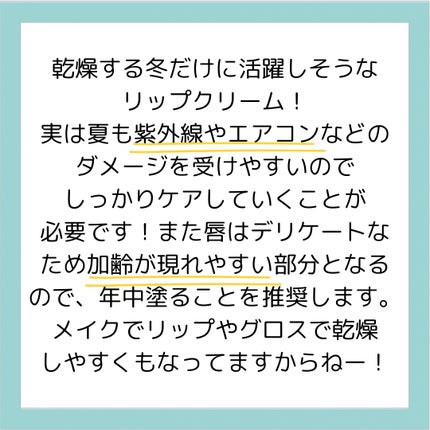 リップスリーピングマスク/LANEIGE/リップバームを使ったクチコミ(2枚目)