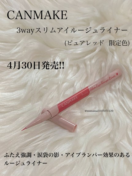 3wayスリムアイルージュライナー/キャンメイク/リキッドアイライナーを使ったクチコミ(1枚目)