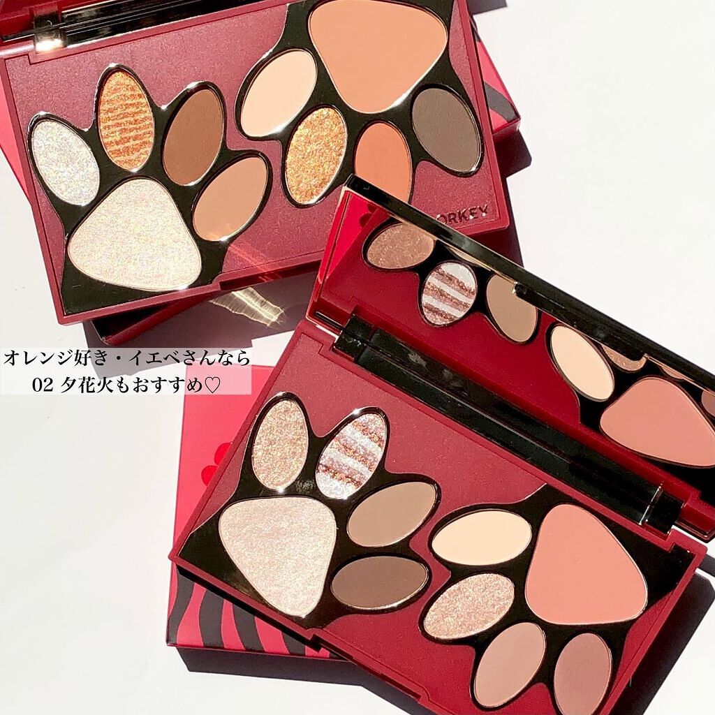 トラ十色アイシャドウパレット/COLORKEY/アイシャドウパレットを使ったクチコミ(6枚目)