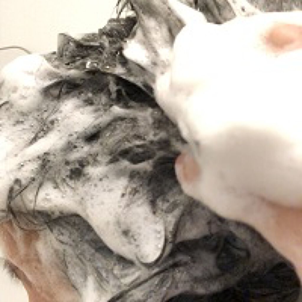 オーガニックスパークリングシャンプー/b.ris/市販シャンプーを使ったクチコミ（3枚目）