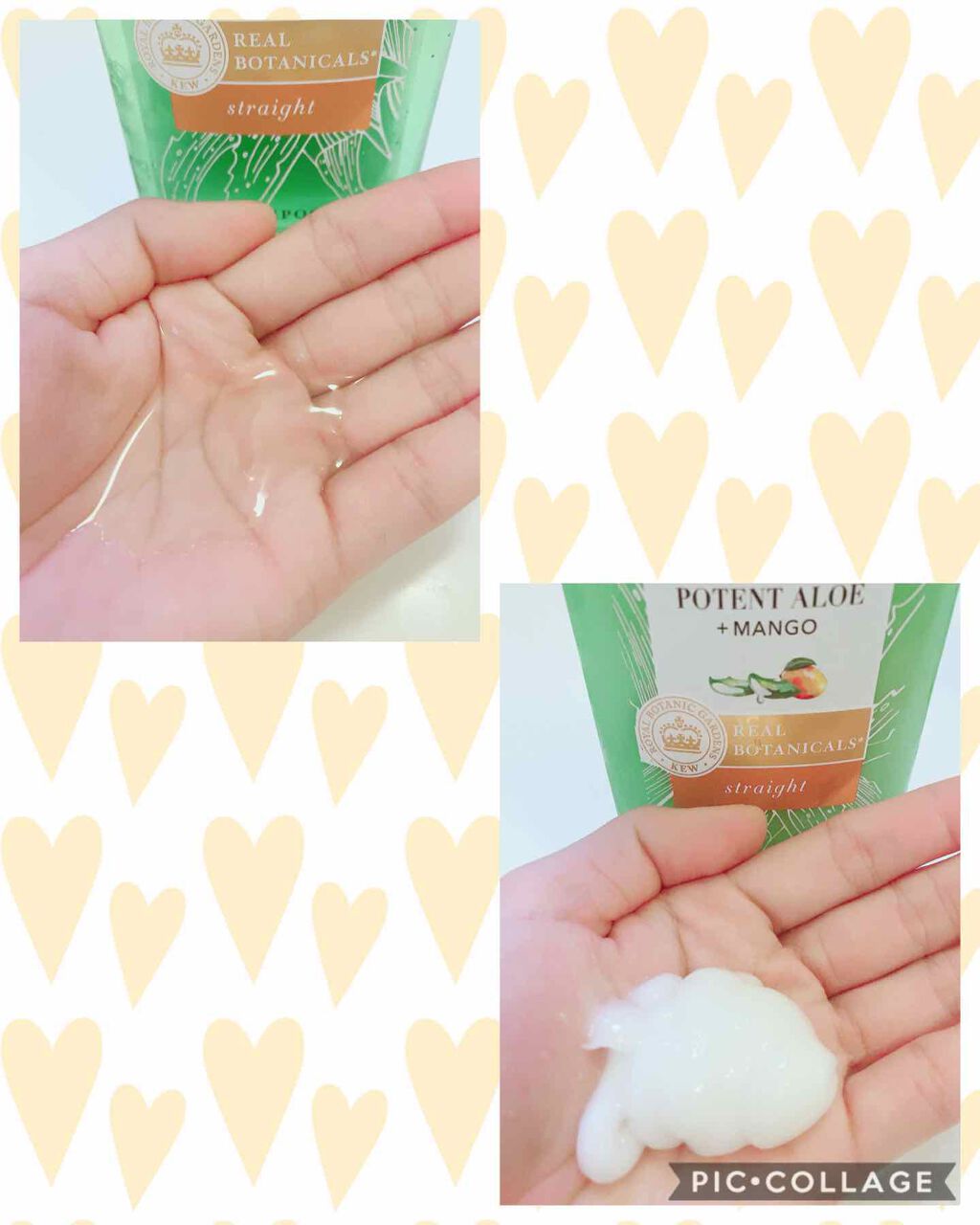 ビオリニュー アロエ&マンゴー シャンプー/コンディショナー/ハーバルエッセンス/市販シャンプーを使ったクチコミ(2枚目)