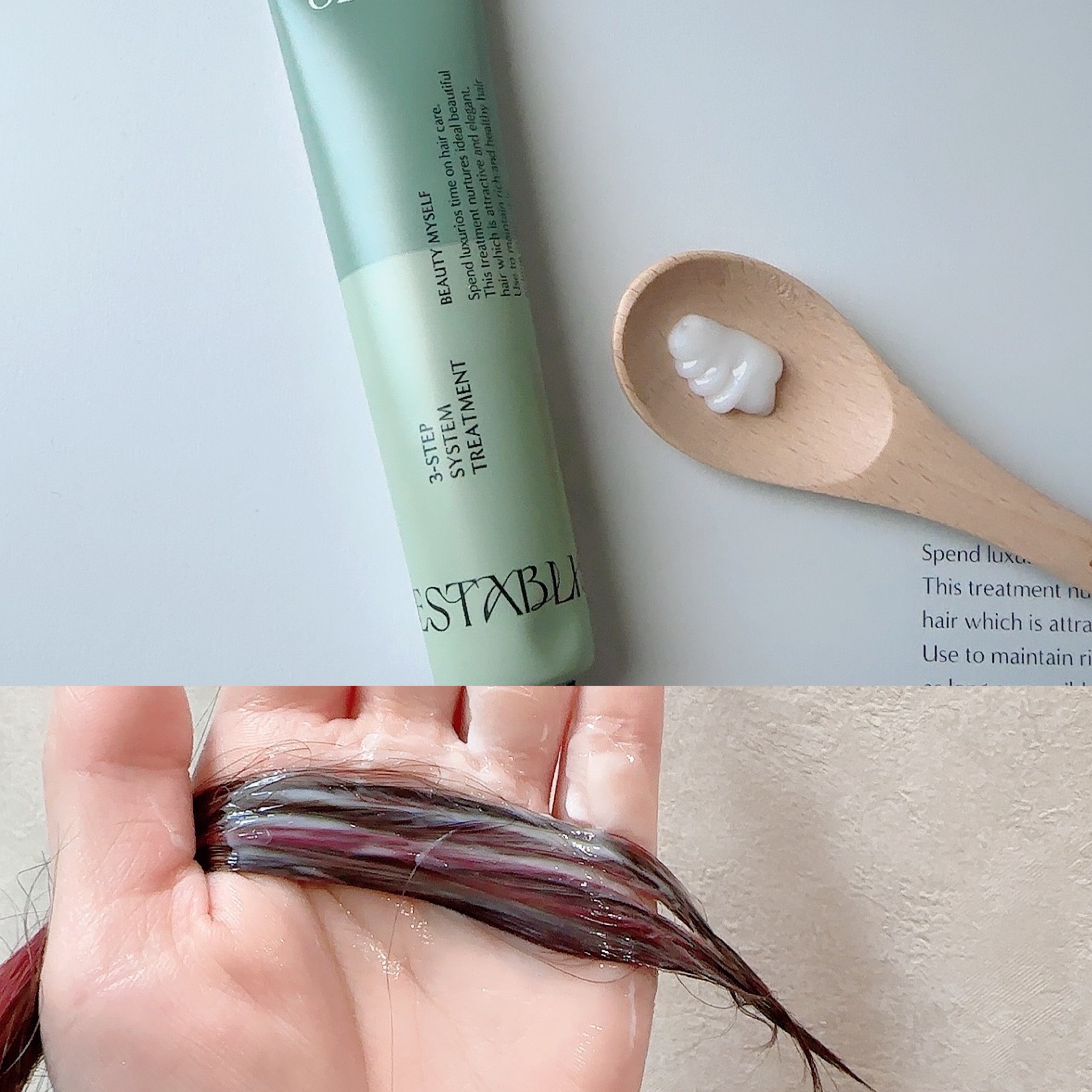 システムトリートメント/ESTABLISHED/ヘアマスク・ヘアパックを使ったクチコミ（3枚目）