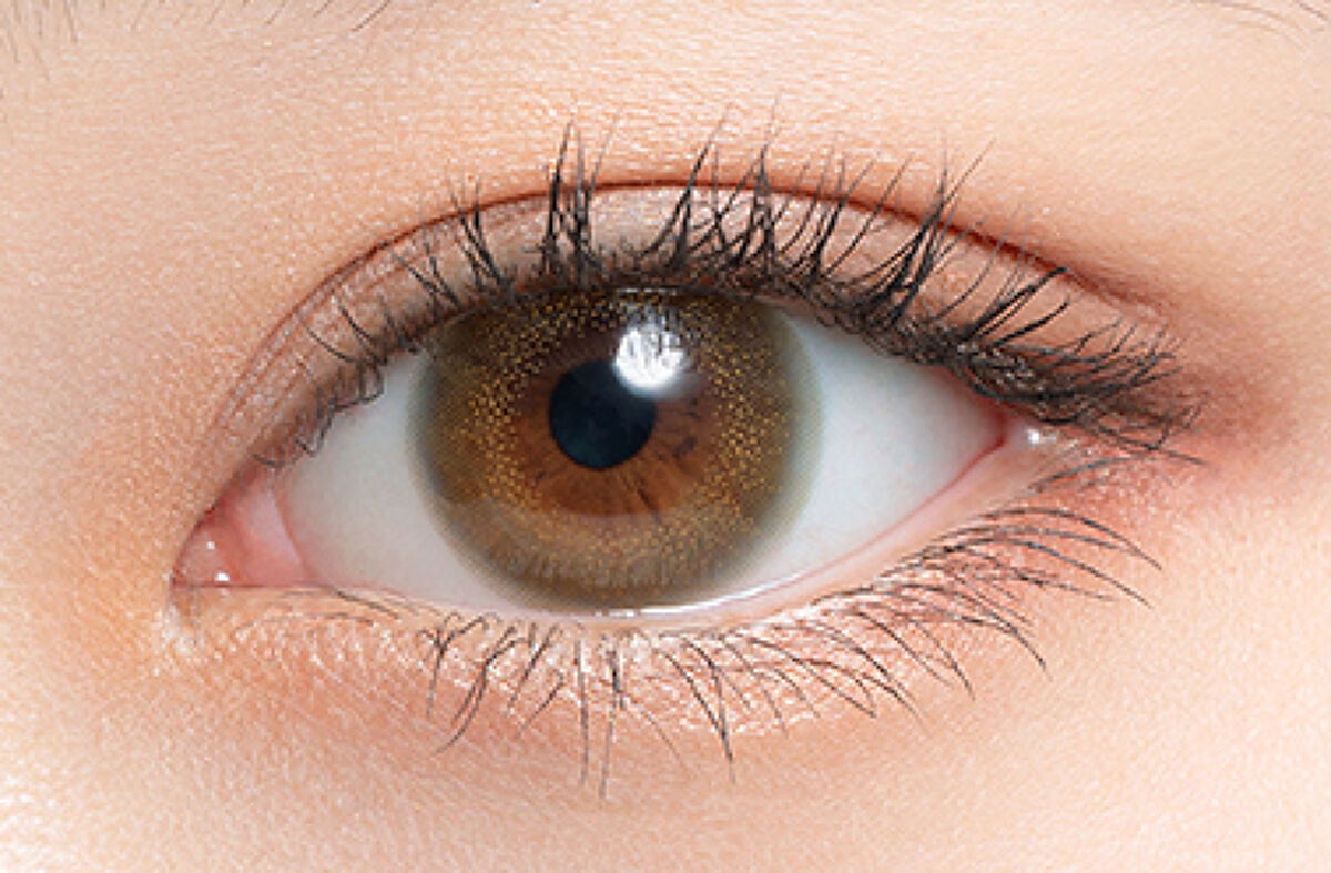 HARNE 1day カモミール