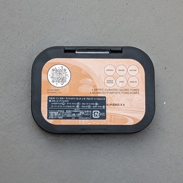 コネクト イン カラー アイシャドウ パレット × 6/M・A・C/アイシャドウパレットを使ったクチコミ（3枚目）