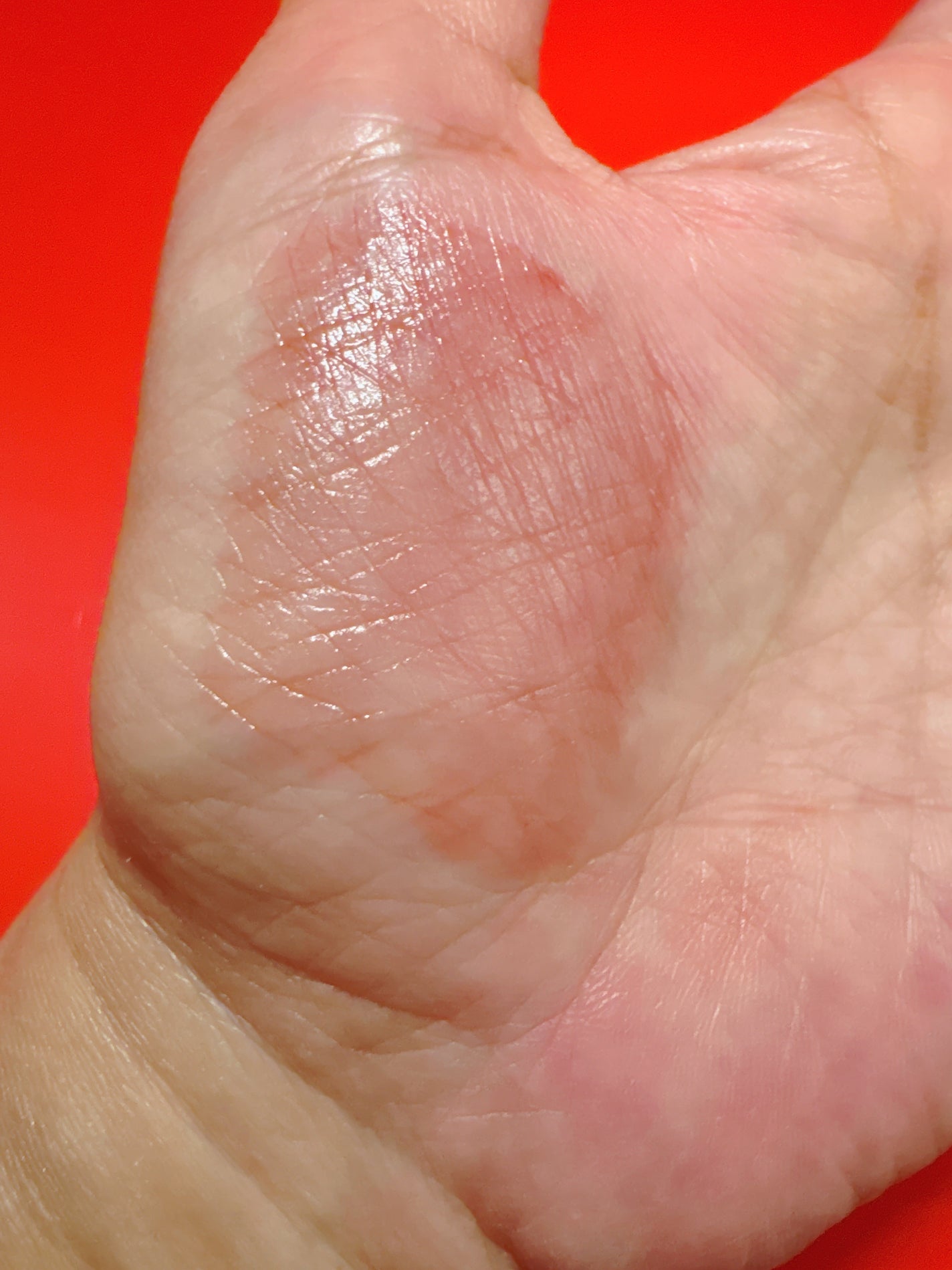 ケイト リップモンスター ツヤバース/KATE/口紅を使ったクチコミ(7枚目)