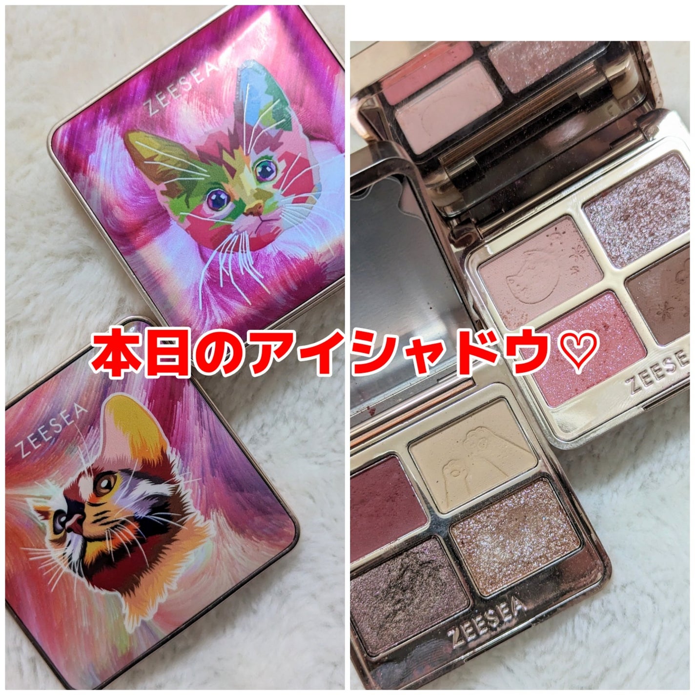 アニマルアイシャドウ(4シェード)/ZEESEA/アイシャドウパレットを使ったクチコミ(1枚目)