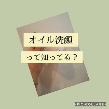 ライスブランオイル/マカダミ屋/ボディオイルを使ったクチコミ（1枚目）