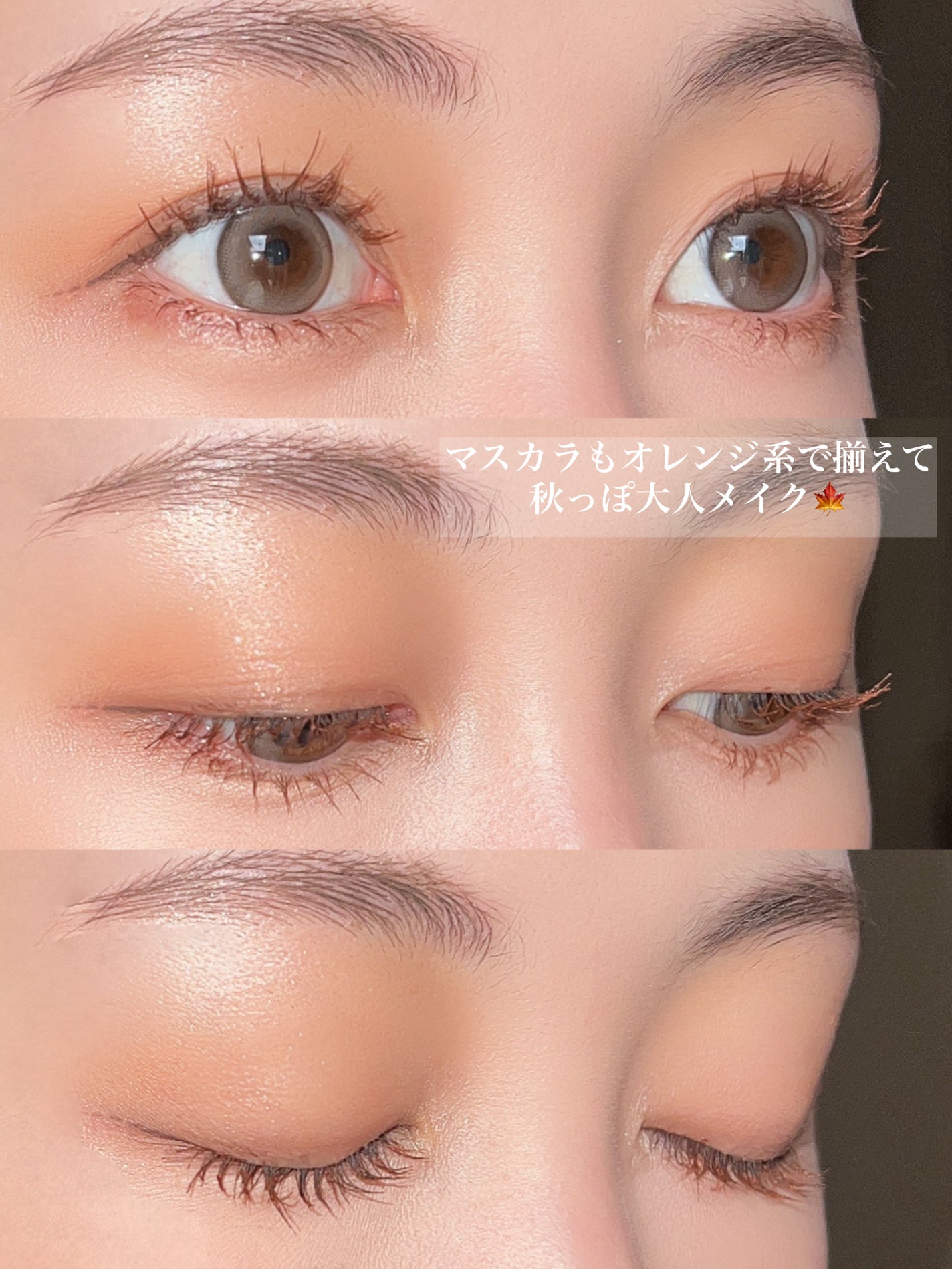 ビタートーンアイシャドウ/CEZANNE/パウダーアイシャドウを使ったクチコミ(4枚目)