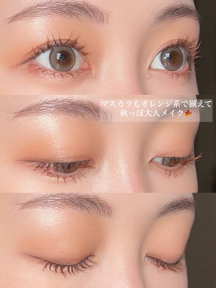 ビタートーンアイシャドウ/CEZANNE/パウダーアイシャドウを使ったクチコミ(4枚目)