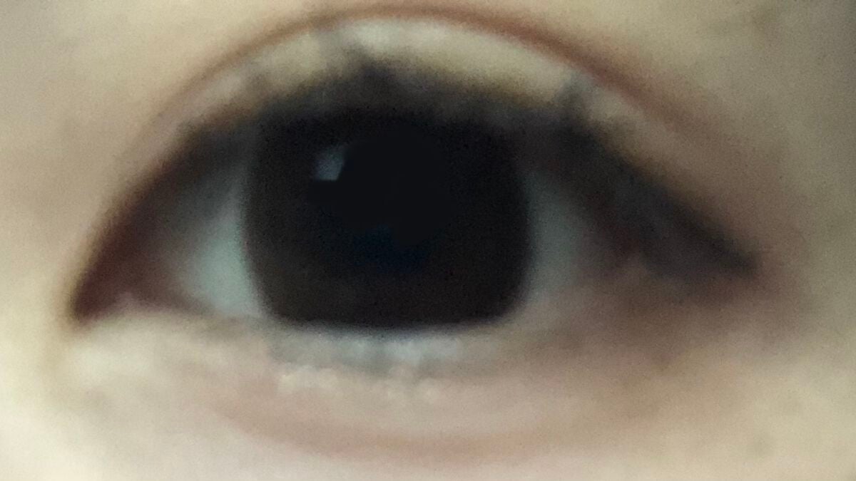 プロ アイ パレット/CLIO/アイシャドウパレットを使ったクチコミ(2枚目)