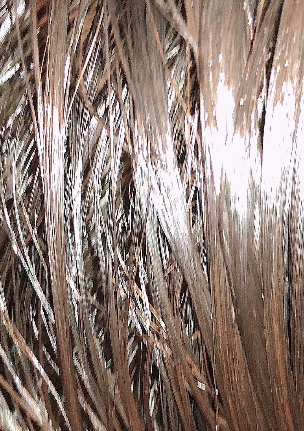 オーガニック シャンプー/トリートメント<ダメージリペア>/AROMA KIFI/シャンプー・コンディショナーを使ったクチコミ(3枚目)