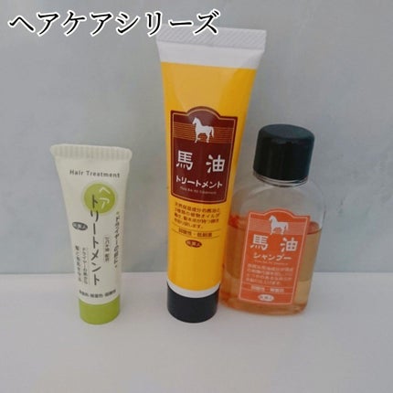 ドライヤーの前にヘアトリートメント/旅美人/ヘアミルクを使ったクチコミ(2枚目)