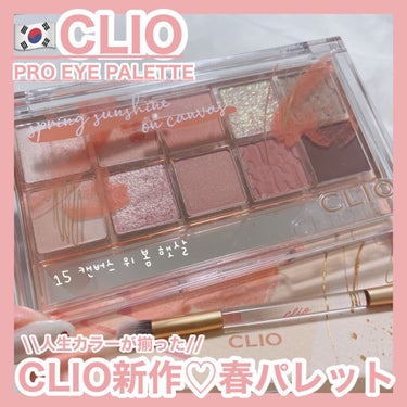 プロ アイ パレット/CLIO/アイシャドウパレットを使ったクチコミ（1枚目）