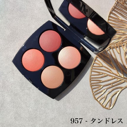 レ キャトル ルージュ ユー エ ジュ 958/CHANEL/アイシャドウパレットを使ったクチコミ(2枚目)