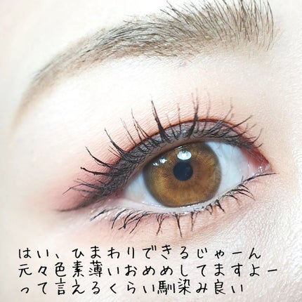 きつね on LIPS 「ひまわりができるんじゃね???BittersweetKrist..」(5枚目)