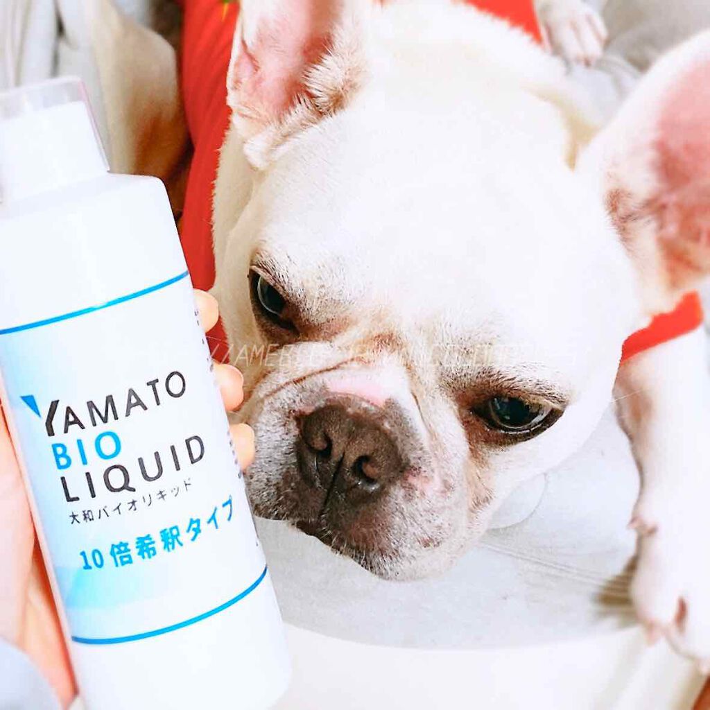 大和バイオリキッド 10倍希釈タイプ/大和バイオリキッド/その他を使ったクチコミ(4枚目)