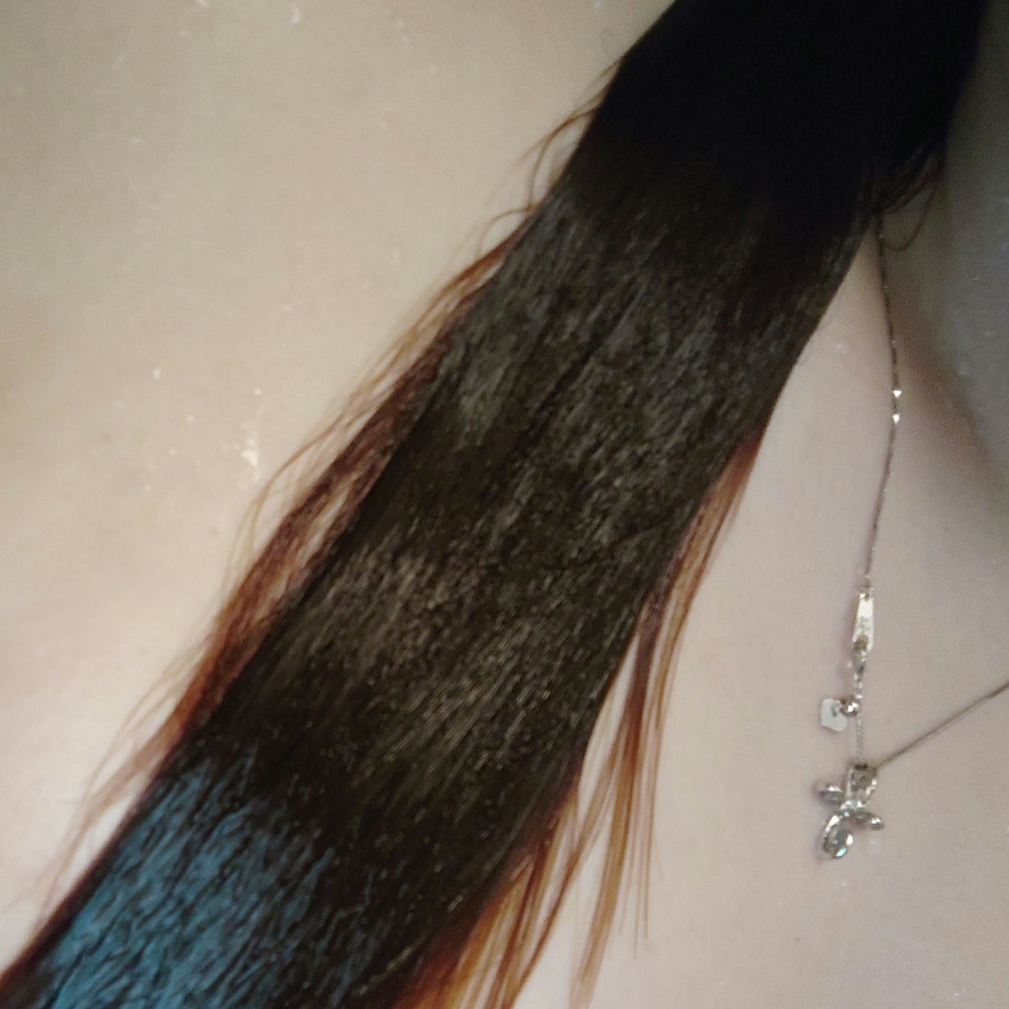 セラティス テラ プレミアム EX ナイト モイスト シャンプー/ヘアトリートメント/THERATIS/市販シャンプーを使ったクチコミ(5枚目)