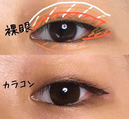 BW アイシャドウパレット PRM (スクエア)/ビューティーワールド/メイクアップキットを使ったクチコミ(2枚目)