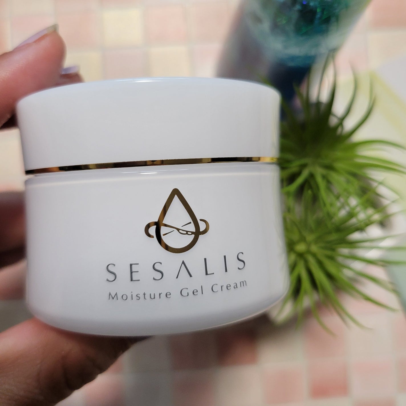 モイスチャージェルクリーム/SESALIS/フェイスクリームを使ったクチコミ(1枚目)