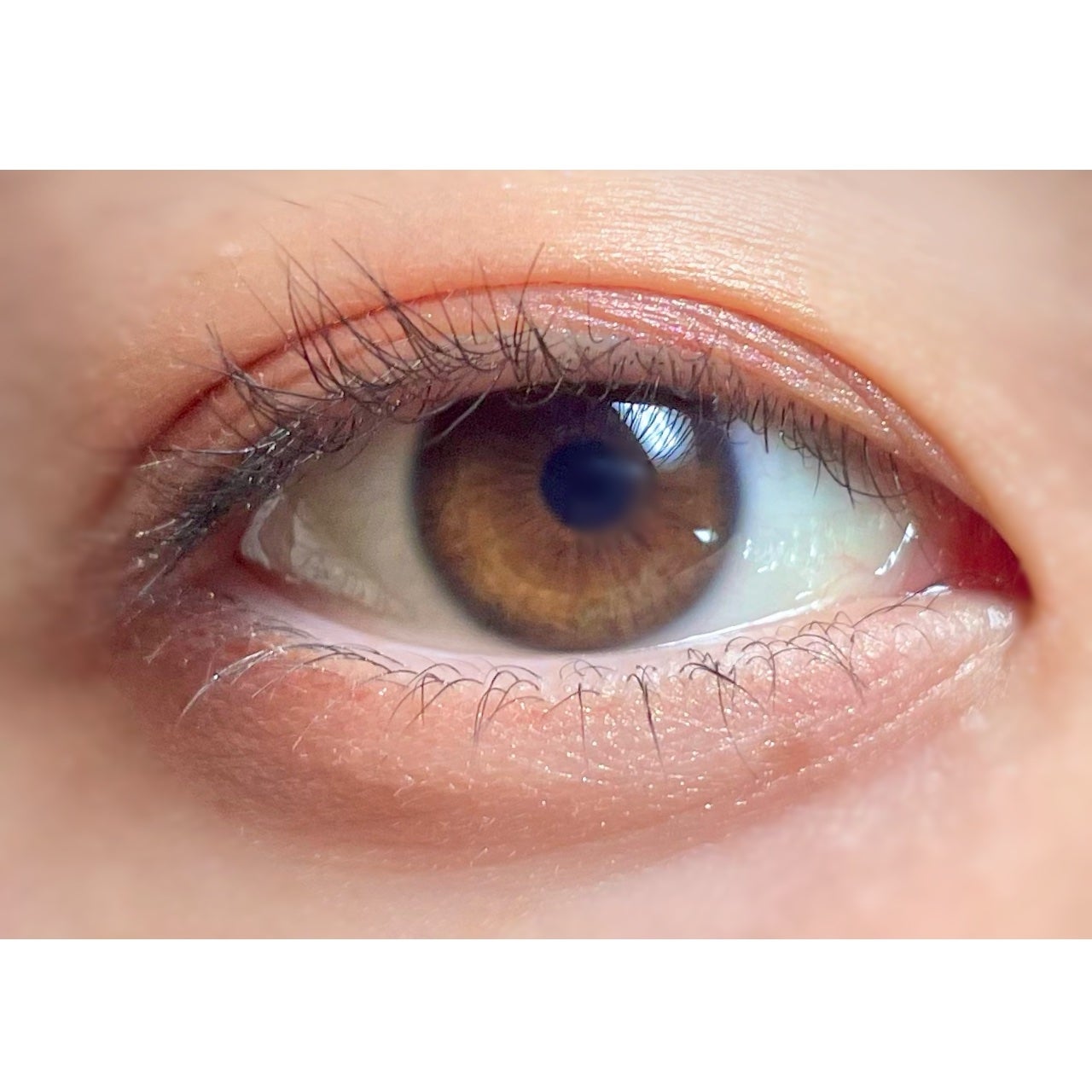 ディオール バックステージ アイ パレット/Dior/アイシャドウパレットを使ったクチコミ(5枚目)