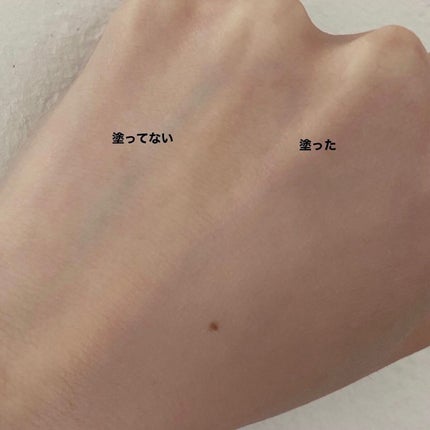 スキンナビゲートカラー/MAJOLICA MAJORCA/化粧下地を使ったクチコミ(3枚目)