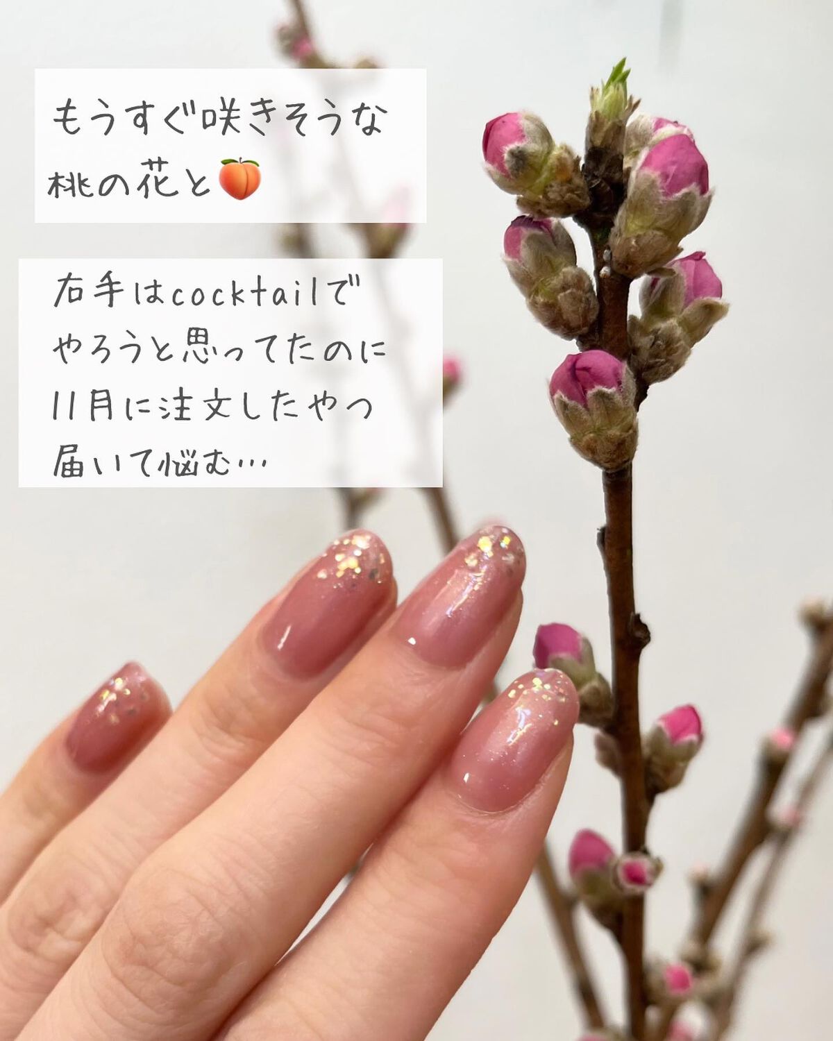 マオジェル/マオネイル/ジェルネイルを使ったクチコミ(2枚目)