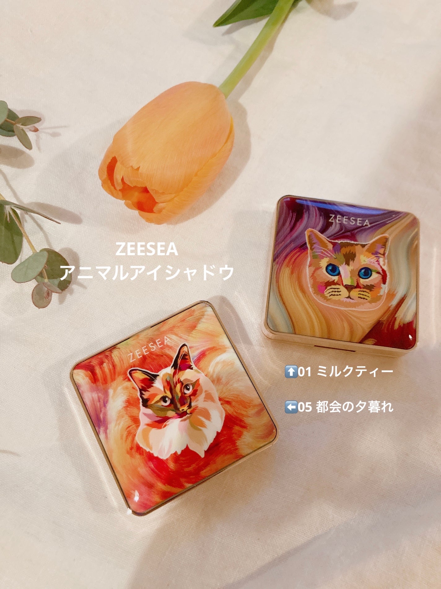 シャドウパレット/dasique/アイシャドウパレットを使ったクチコミ(7枚目)