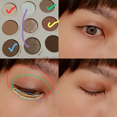 ColourPop Going Coconuts Bronzed Eyeshadow Paletteのクチコミ「#今日のメイク

今日は雨が降るし頭痛外来があったのでコンタクトレンズにしました。眼鏡に雨のし.....」（3枚目）