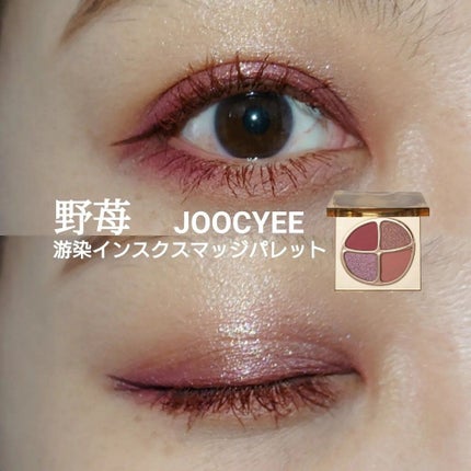 遊染インクスマッジパレット/Joocyee/アイシャドウパレットを使ったクチコミ(1枚目)