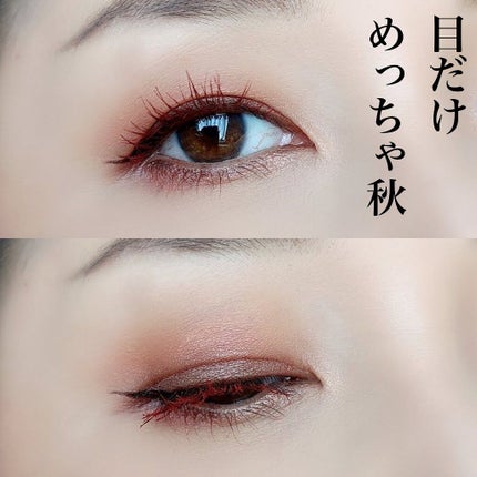 3Dプロデュースシャドウ/KATE/アイシャドウパレットを使ったクチコミ(2枚目)