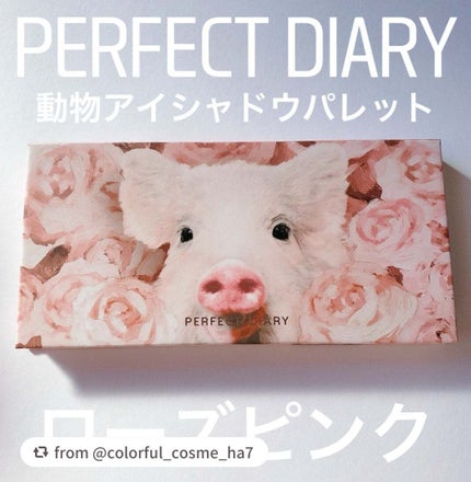 エクスプローラ12色 動物アイシャドウパレット/PERFECT DIARY/アイシャドウパレットを使ったクチコミ(2枚目)