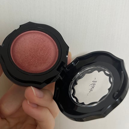 フォギーオンチークス N/Visée/パウダーチークを使ったクチコミ(4枚目)