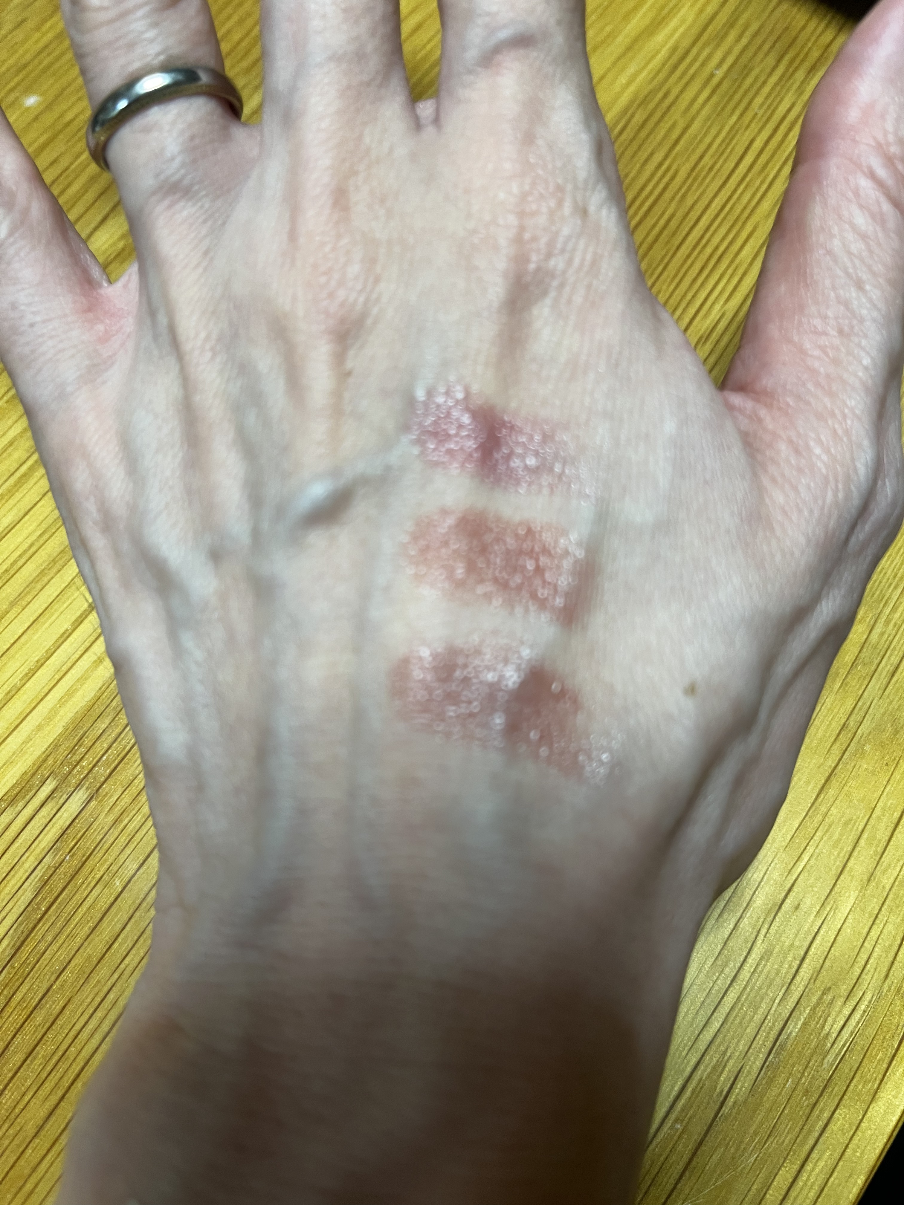 ルージュスターヴァイブラント/KANEBO/口紅を使ったクチコミ（2枚目）