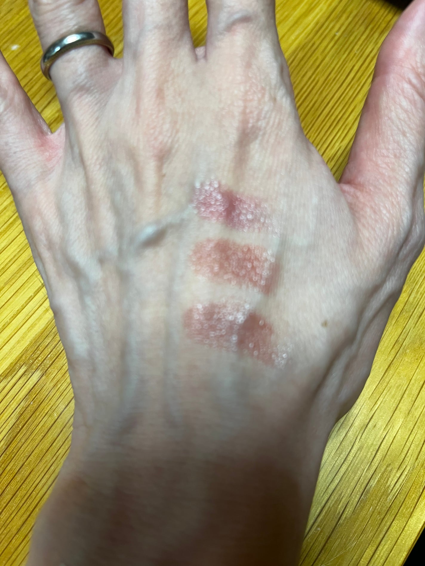 ルージュスターヴァイブラント/KANEBO/口紅を使ったクチコミ(2枚目)