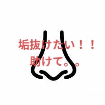 ハトムギ化粧水(ナチュリエ スキンコンディショナー R )/ナチュリエ/化粧水を使ったクチコミ(1枚目)