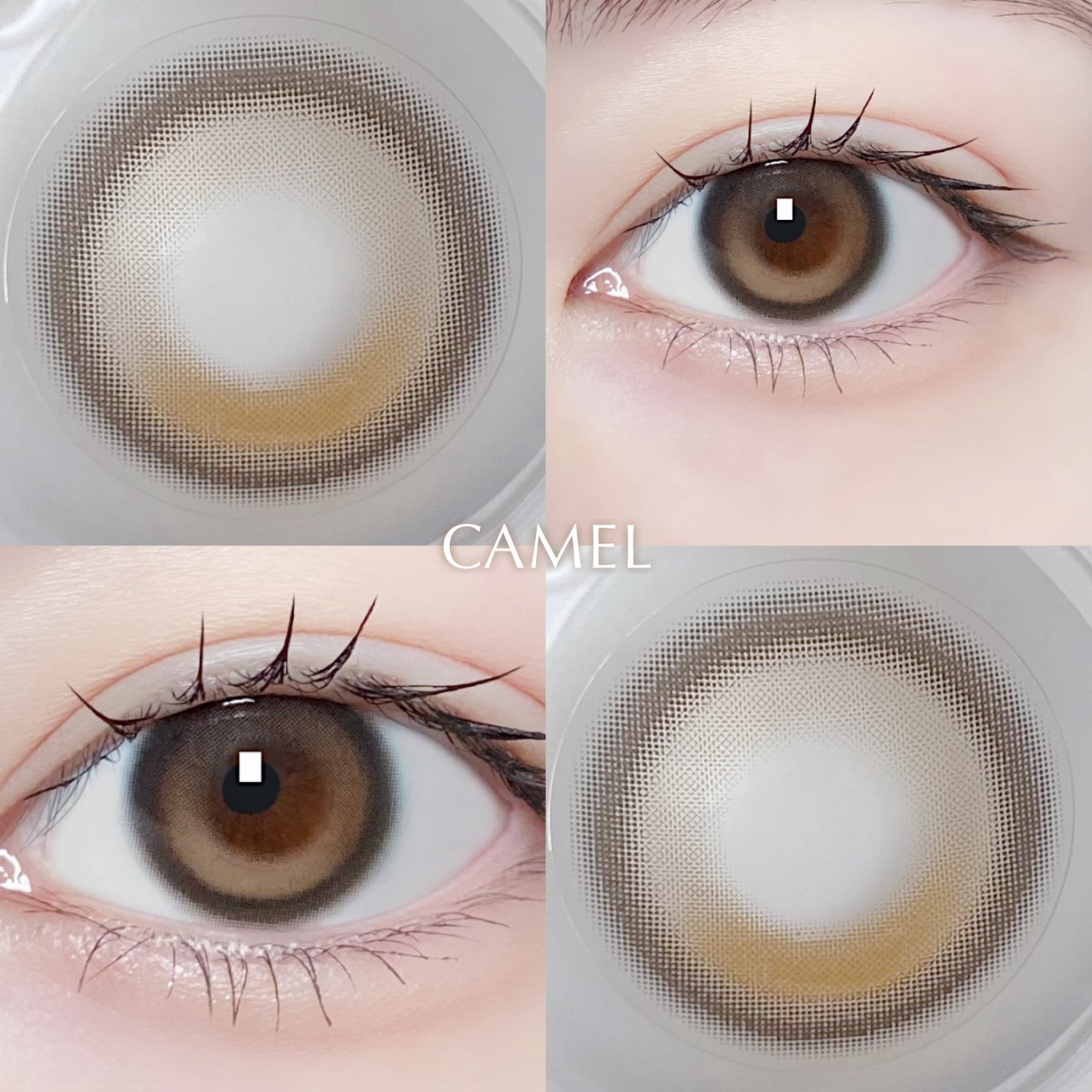 Roun Grande 1DAY/myfipn/ワンデー(1DAY)カラコンを使ったクチコミ(4枚目)