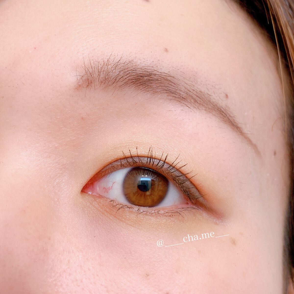 アイカラーレーション/LUNASOL/アイシャドウパレットを使ったクチコミ(2枚目)