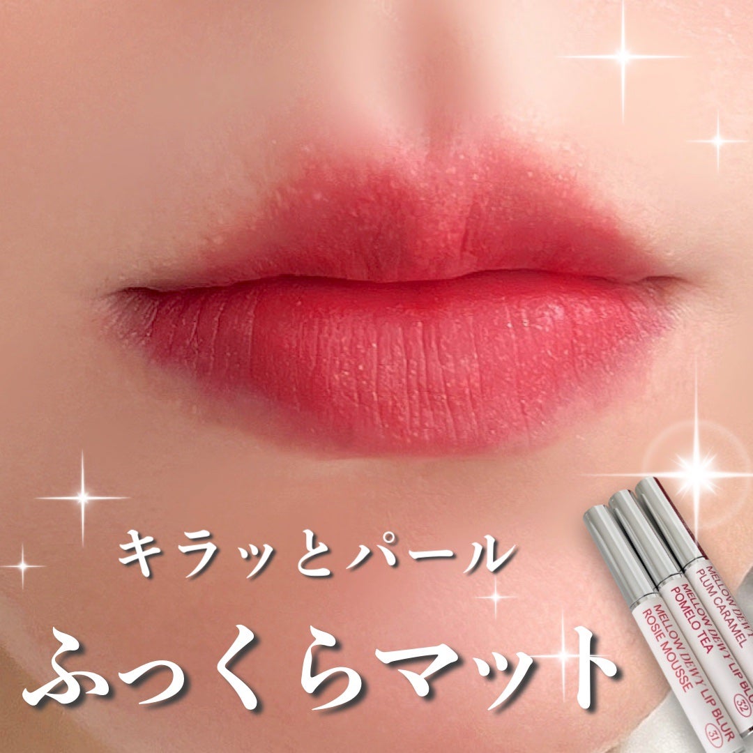 メロウデューイリップブラー/SISTER ANN/口紅を使ったクチコミ(1枚目)